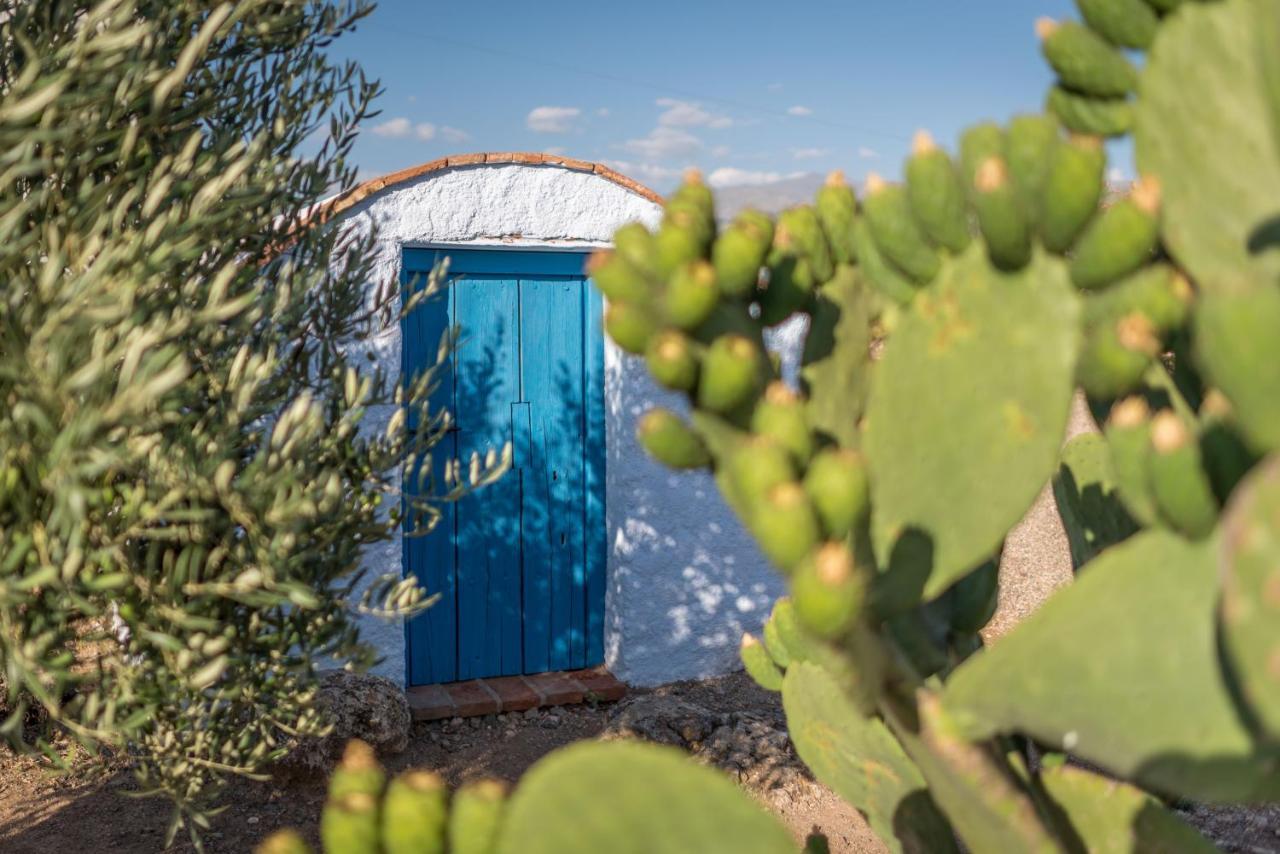 Al Agia - Mirador De Los Quinientos Padul エクステリア 写真